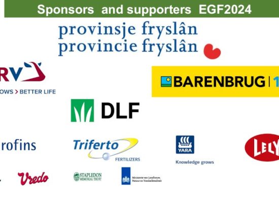 sponsors egf2024